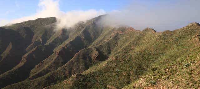 Senderismo por el interior del Parque Rural de Teno en Santiago Del Teide