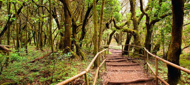 Senderismo por el Parque Nacional de Garajonay en San Sebastian De La Gomera