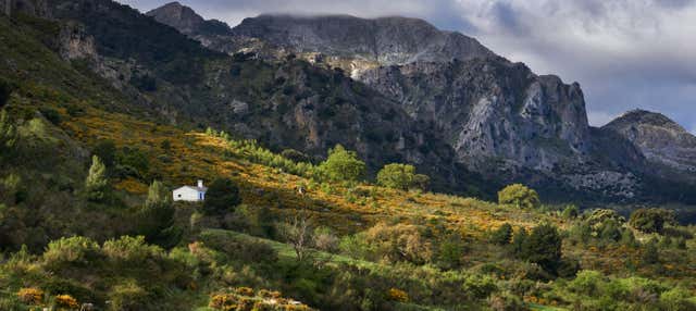 Senderismo por la Sierra de las Nieves en Parauta