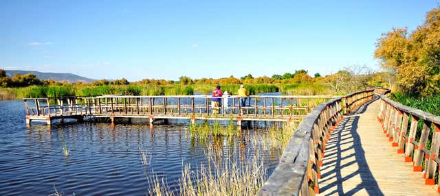 Senderismo por las Tablas de Daimiel en Daimiel