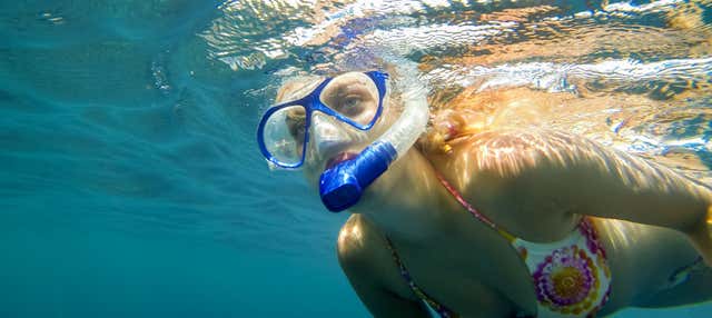 Snorkel en Costa Adeje en Costa Adeje