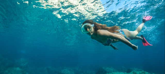 Snorkel en Costa Teguise en Costa Teguise