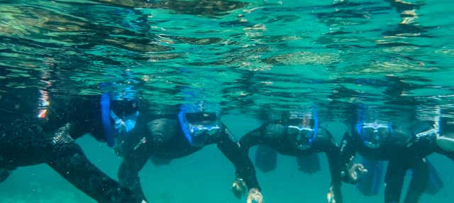Snorkel en el Parque Natural del Estrecho en Tarifa