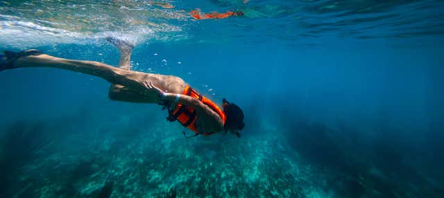 Snorkel en La Ametlla de Mar en Ametlla Mar