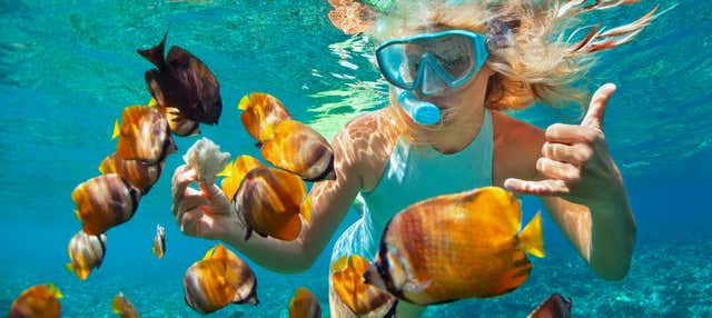 Snorkel en la Pared de El Palmar en Costa Adeje