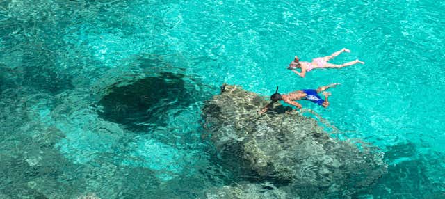 Snorkel en Puerto Addaya en Puerto De Addaya