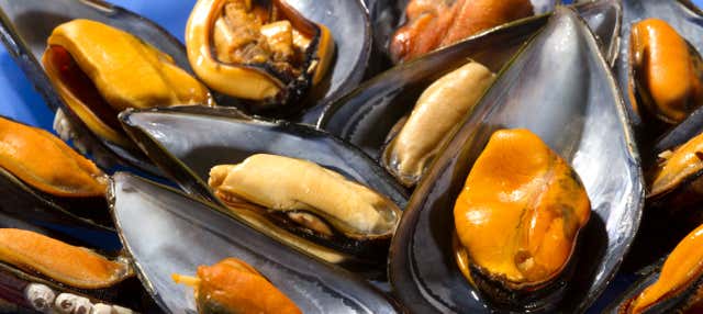 Taller de pesca de marisco en el Delta del Ebro + Degustación de mejillones en Deltebre
