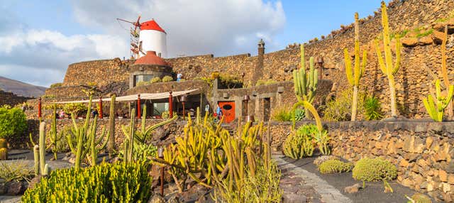 Tour de César Manrique por Lanzarote en Puerto Del Carmen