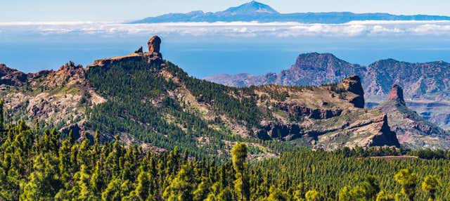 Tour de Gran Canaria al completo en Tejeda