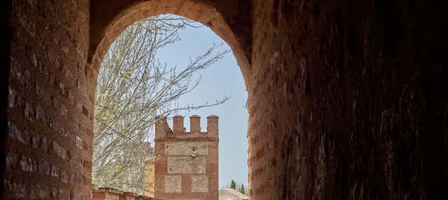 Tour de los misterios y leyendas de Alcalá de Henares en Alcala De Henares