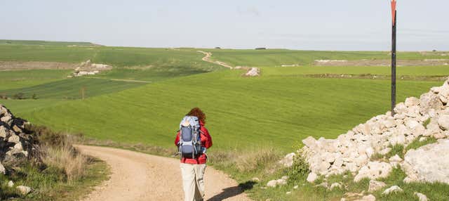 Tour del peregrino ¡Últimos kilómetros del Camino de Santiago! en Santiago De Compostela