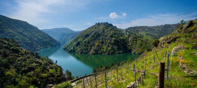 Tour del románico por la Ribeira del Miño en Monforte De Lemos
