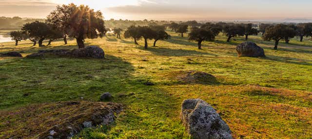 Tour en 4x4 por la dehesa de Cáceres en Caceres