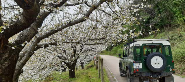 Tour en 4x4 por la Garganta de los Infiernos y Los Pilones en Jerte