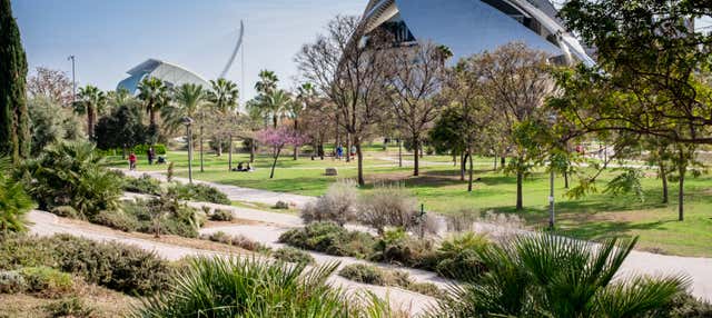 Tour en bicicleta por el Jardín del Turia en Valencia