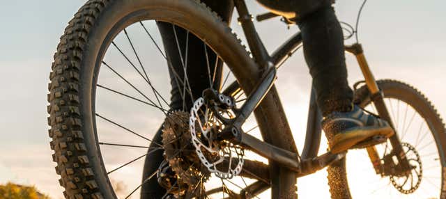 Tour en bicicleta por las marismas del Odiel en Punta Umbria