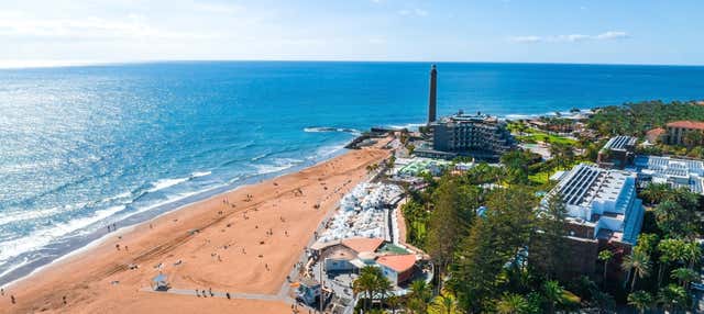 Tour en bicicleta por Maspalomas + Degustación de tapas en Maspalomas
