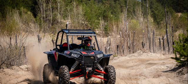 Tour en buggy por Ibiza en Playa D En Bossa