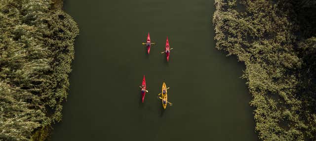 Tour en kayak a la isla de Gracia en Deltebre