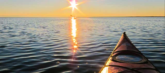 Tour en kayak a la isla de Sancti Petri al atardecer en Sancti Petri