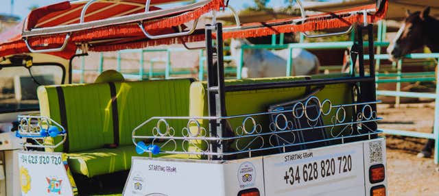 Tour en tuk tuk por Costa Adeje en Costa Adeje