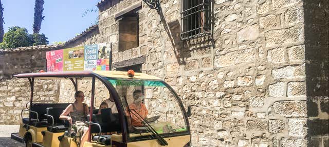 Tour panorámico por Baeza en Baeza