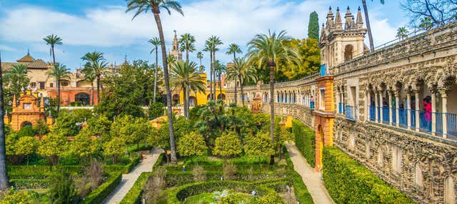 Tour por el Alcázar, la Catedral y la Giralda en grupo reducido en Sevilla