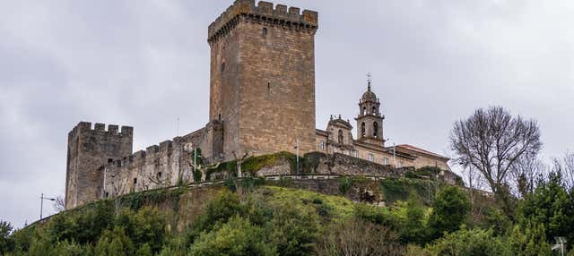 Tour por el Conjunto Monumental de San Vicente do Pino en Monforte De Lemos