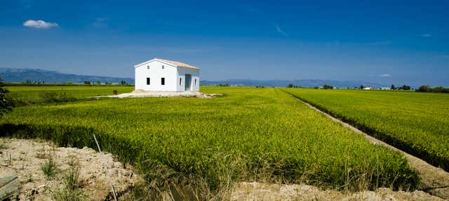 Tour por el Delta del Ebro en Deltebre