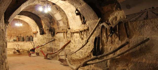 Tour por el Museo del Vino de Aranda de Duero en Aranda De Duero