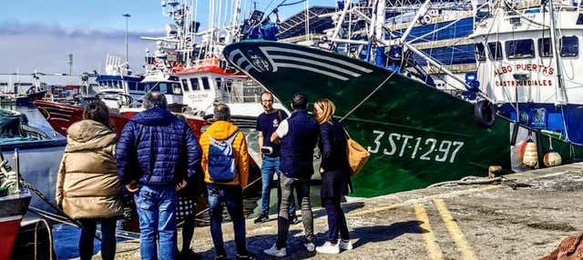 Tour por el puerto y lonja de Santoña + Museo de la Anchoa en Santona