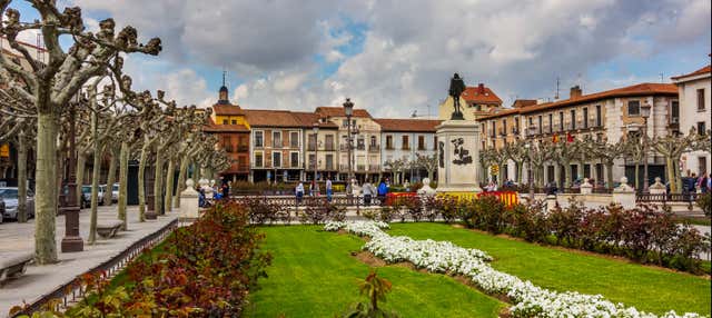 Tour por la Alcalá de Henares de las tres culturas en Alcala De Henares