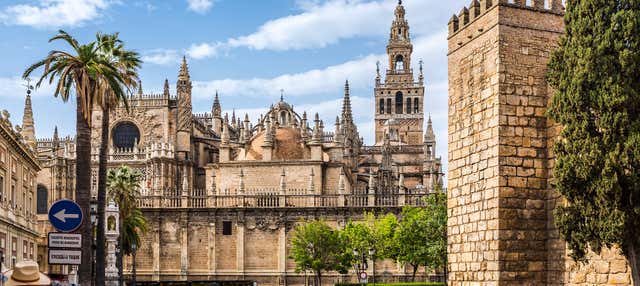 Tour por la catedral y la iglesia del Salvador en Sevilla
