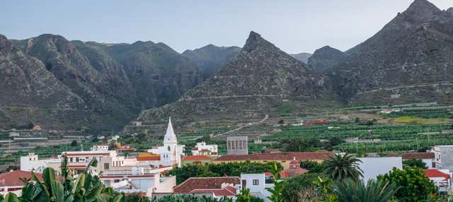 Tour por la Isla Baja en La Orotava