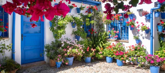 Tour por la judería y los patios de Córdoba en Cordoba