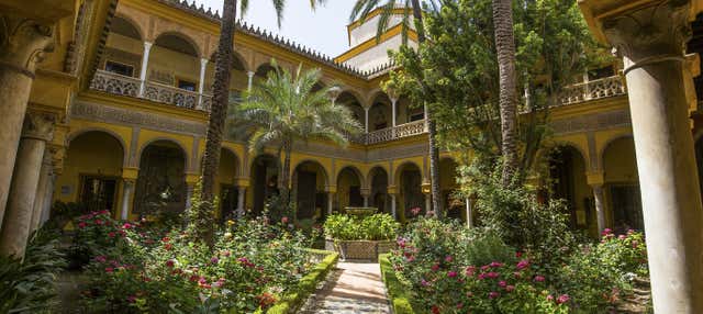 Tour por la Macarena + Palacio de las Dueñas en Sevilla