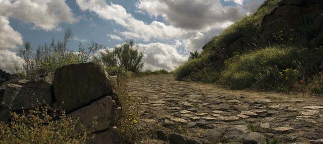 Tour por la Ruta Bética Romana en Montoro