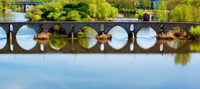 Tour por la Zamora medieval en Zamora