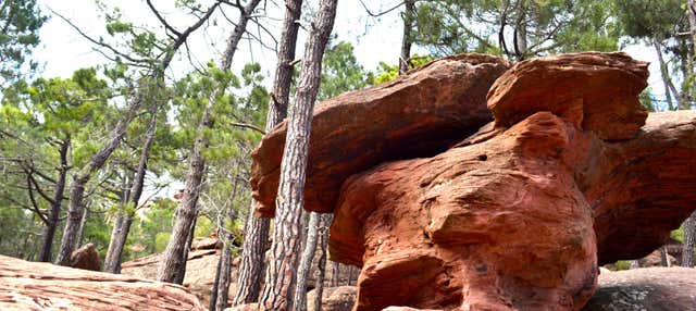 Tour por las pinturas rupestres de los Pinares de Rodeno en Albarracin