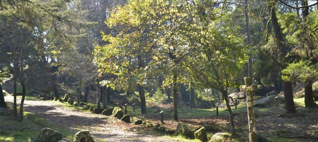 Tour por los miradores del Monte Aloia en Tui