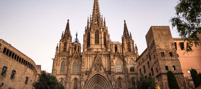 Tour por Montjuïc y el Paseo de Gracia en Barcelona