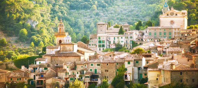 Tour por Palma de Mallorca y Valldemosa en Peguera