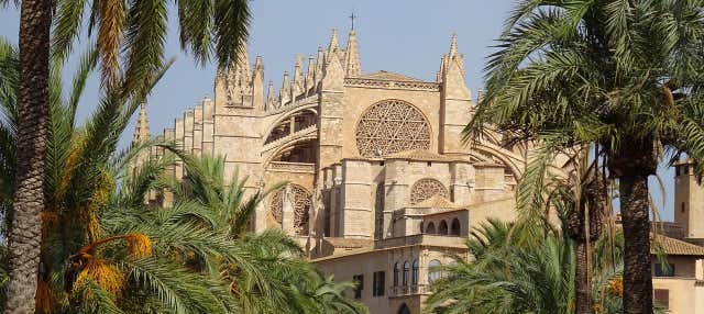 Tour por Palma para cruceros en Palma Mallorca