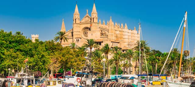 Tour por Palma y su catedral + Valldemossa en Palma Mallorca