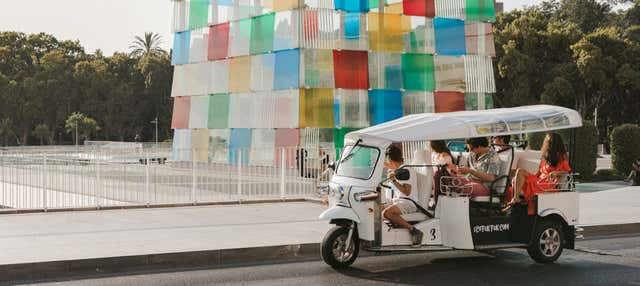 Tour privado en tuk tuk por Málaga en Malaga