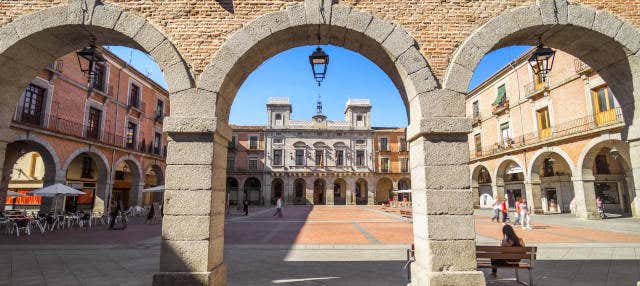 Tour privado por Ávila en Avila