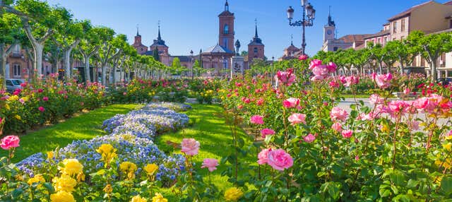 Tour privado por Alcalá de Henares en Alcala De Henares