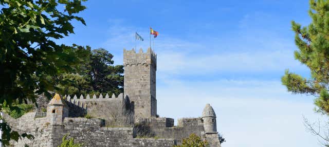 Tour privado por Baiona en Baiona
