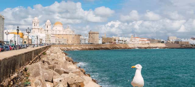 Tour privado por Cádiz ¡Tú eliges! en Cadiz