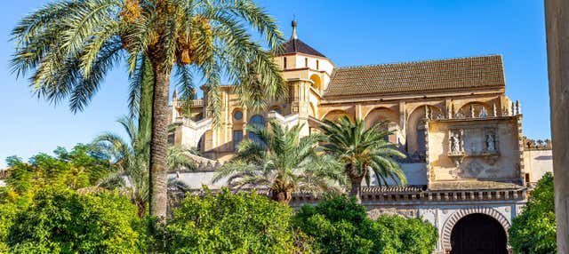 Tour privado por Córdoba con visita a la Mezquita y el Alcázar en Cordoba